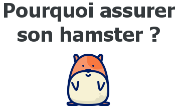 assurance hamster