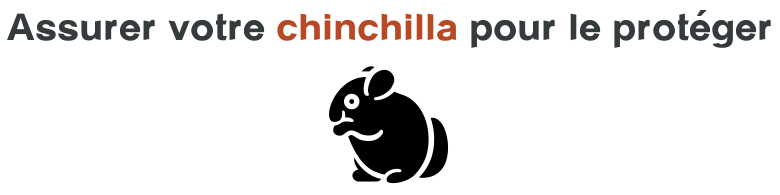 assurance protection chinchilla