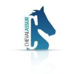 Logo Cheval Assur