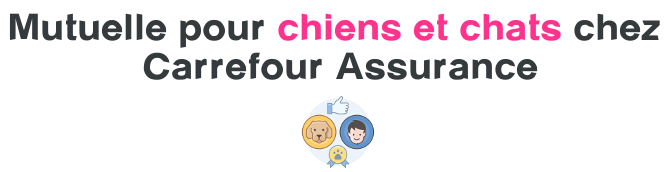 mutuelle chiens chats carrefour assurance