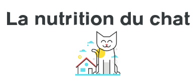 nutrition chat